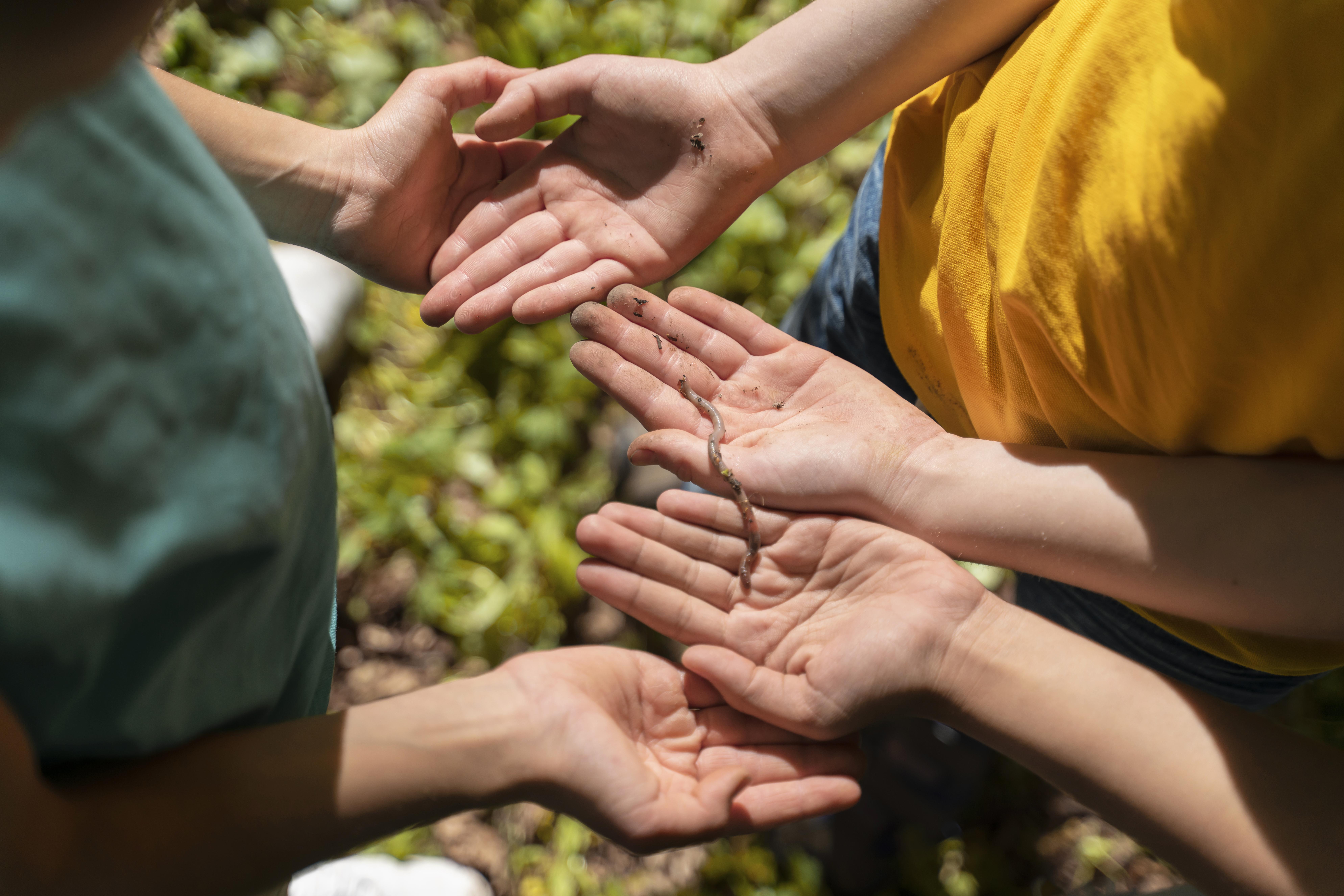 Nonprofit team collaborating